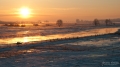 065_Biebrza - marzec 2013